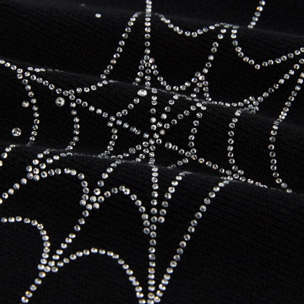 Black acrylic skully with sparkling rhinestone spiderweb design.