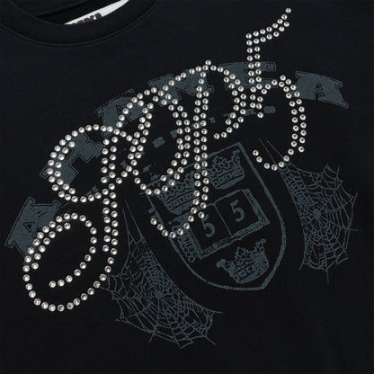 Black ARANEA CREWNECK with "ARANEA" in sparkling rhinestones over a dark grey crest and spiderweb graphic.