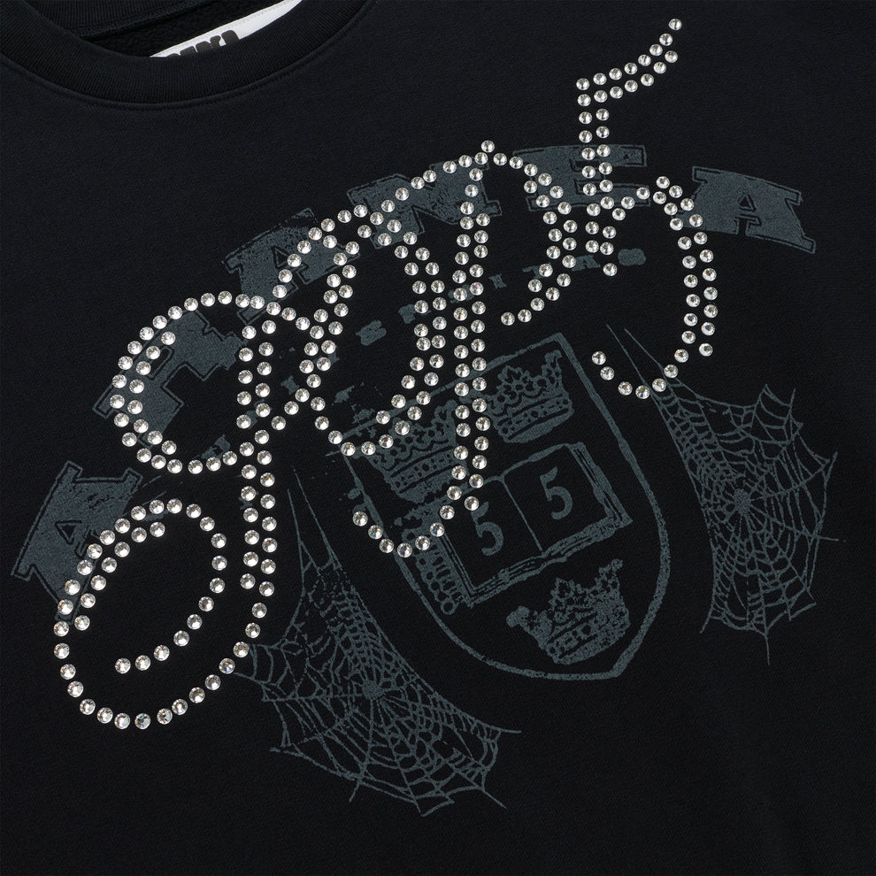 Black ARANEA CREWNECK with "ARANEA" in sparkling rhinestones over a dark grey crest and spiderweb graphic.