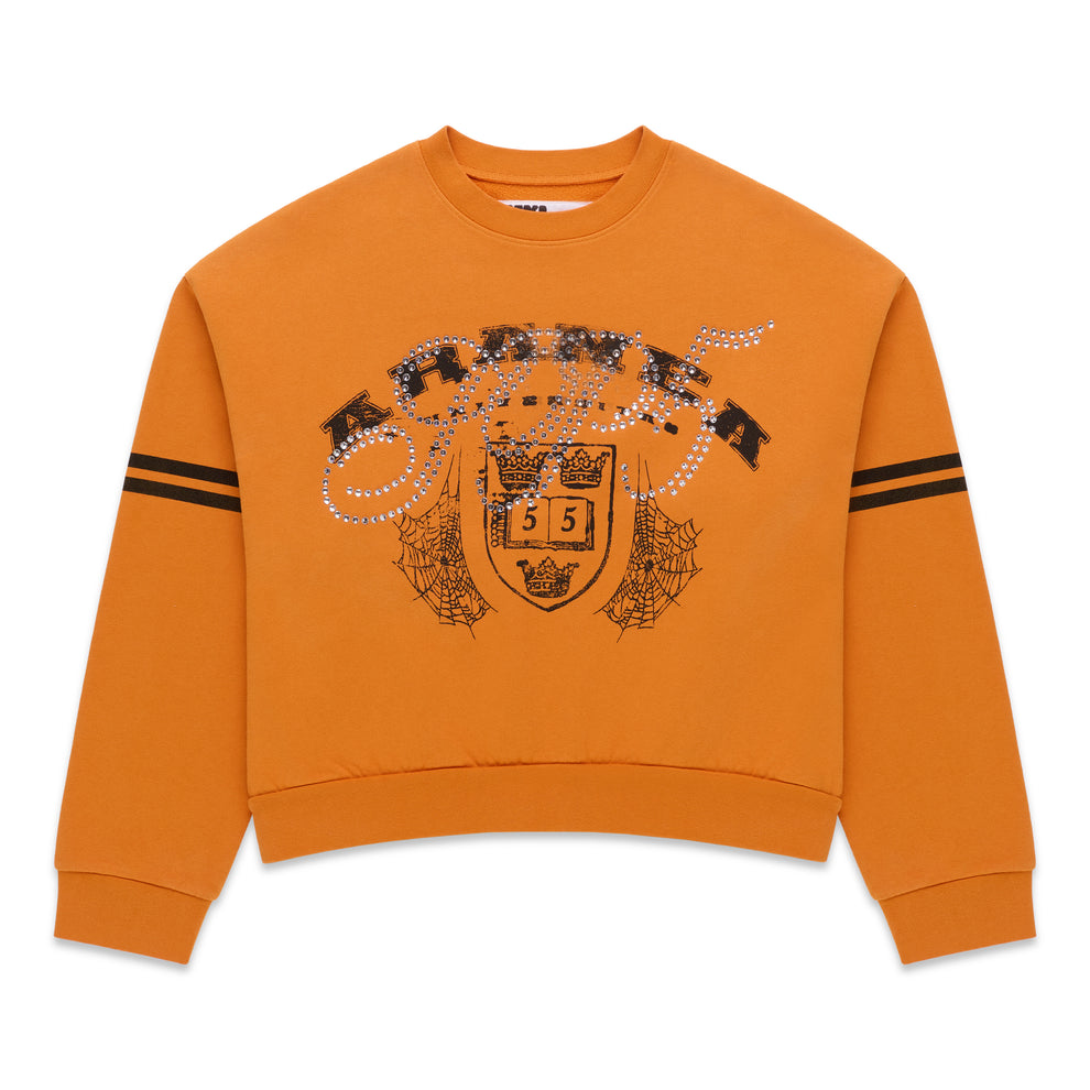 Orange ARANEA CREWNECK sweatshirt with black stripes on sleeves and rhinestone-embellished graphic.